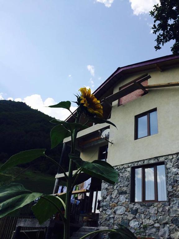 Sakhli Laghamshi Otel Mestia Dış mekan fotoğraf